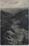 AK Feldberg Schwarzwald Blick ins obere Wiesental 1911