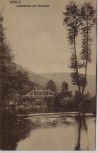 AK Wittlich Lieserbrücke aus Holz am Mundwald 1910 RAR