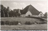 AK Eiderstedter Bauernhof b. Tönning Garding 1962