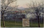 Künstler-AK Ortsansicht Baumblüte Stempel Seifhennersdorf 1926