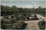 AK Chemnitz Rosarium im Stadtpark 1910