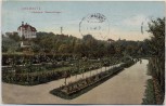 AK Chemnitz Stadtpark Rosen-Anlagen 1912