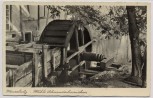 AK Foto Meuselwitz Mühle Schnauderhainichen Heimatverein 1930