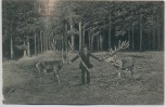VERKAUFT !!!   AK Gruß aus Stützerbach in Thüringen Weisses Ross Jäger mit Hirschen 1907 RAR
