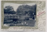 AK Hamburg Gruss aus Blankenese Dockenhuden Partie aus dem Hirschpark Brücke Menschen 1902