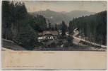 AK Kipsdorf im Erzgebirge Villa Waldhof bei Altenberg 1910