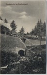 AK Schierke Wernigerode Brockenbahn im Tumkuhlental 1931