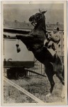 AK Foto Zirkus Frankello Erwin Frankello auf Pferd 1955