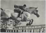 AK Reitsport KAMERAD unter Hermann Schridde Springreiten Continental Farmer 1970