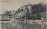 AK Meersburg am Bodensee Ortsansicht mit Hotel Seehof 1910
