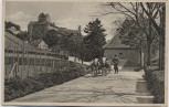 AK Meersburg am Bodensee Blick auf Schloß mit Kühen 1930