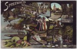 AK Mehrbild Spreewald Leipe Lehde Burg Trachten 1913