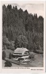 AK Foto Hinterzarten Schwarzwald Haus am Hang 1950