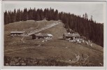 AK Foto Gindelalm 1243 m bei Schliersee Oberbayern 1930