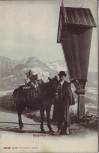 AK Berg-Post in Südtirol Mann mit Pferd Trentino Italien 1910