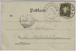 AK Dutzendteich bei Nürnberg Boote mit Menschen 1899
