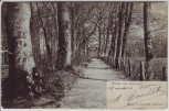 AK Gruss aus Hanerau-Hademarschen Blick in Allee 1905