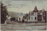AK Rudolstadt Blick vom Fürsten-Garten 1906 RAR
