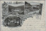 AK Gruss aus der Froschmühle bei Eisenberg in Thüringen 1901