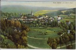 AK Bad Elster Ortsansicht mit Albert Park 1910