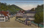AK Bad Peterstal im Renchtal Ortsansicht mit Marienbad 1910