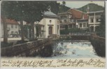 AK Bad Peterstal im Renchtal Karl Hollederer Ortsansicht 1906