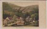 AK Bad Peterstal im Renchtal Ortsansicht 1900