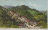 AK Griesbach Blick auf den Ort Bad Peterstal Renchtal Schwarzwald 1910
