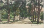 AK Baden-Baden Lichtenthaler Allee 1910