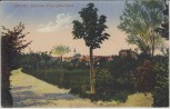 AK Taucha Blick vom König Albert-Park 1910