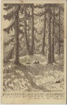 Künstler-AK Erich Eiland Seele der Heimat Waldaltar am Wieselstein in Böhmen 1920