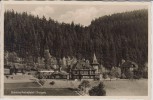 AK Foto Schloss Rehefeld bei Altenberg Erzgebirge 1930