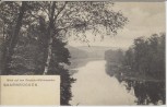 AK Saarbrücken Blick auf den Deutsch-Mühlenweiher 1910