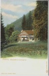 AK Tabarz in Thüringen Massemühle im Lauchagrund 1900