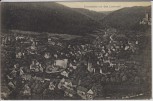 AK Bad Liebenzell Totalansicht Ortsansicht 1911