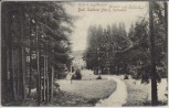 AK Bad Sachsa Blick ins Katzental Harz 1911