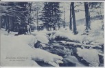 AK Braunlage (Oberharz) An den Bodefällen Bodefall im Winter 1913