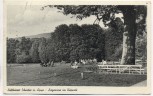 AK Luftkurort Schieder in Lippe Liegewiese im Kurpark mit Menschen 1953