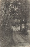 AK Feldberg i. Mecklenburg Weg zum Forsthaus Feldberger Hütte 1920