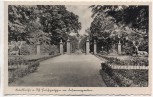 AK Karlsruhe am Rhein Hirschgruppe im Fasanengarten 1941
