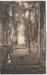 AK Plau am See Plauer See Schlucht bei Silbermühle mit Silberbach Bahnpost 1911