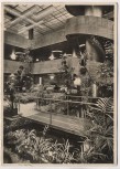 AK Foto Berlin Westend Haus Germania Weinrestaurant Traube Innenansicht 1936