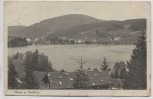 AK Titisee und Hochfirst b. Titisee-Neustadt Feldpost 1916
