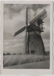 AK Foto Echte Schneider Photokarte Aufnahme R. Hallensleben Windmühle 1940