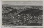 AK Geising im Erzgebirge Ortsansicht b. Altenberg 1946