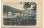 AK Bad Grund im Harz 1900