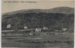 AK Bad Sachsa Südharz Villen am Waldsaumweg 1910