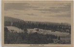 AK Allzunah in Thüringen Ortsansicht b. Frauenwald 1920