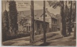 AK Dölauer Heide b. Halle an der Saale Am Waldkater 1913