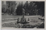 VERKAUFT !!!   AK Foto Forst (Lausitz) Wehrinsel-Anlagen Brunnen mit Bären 1932